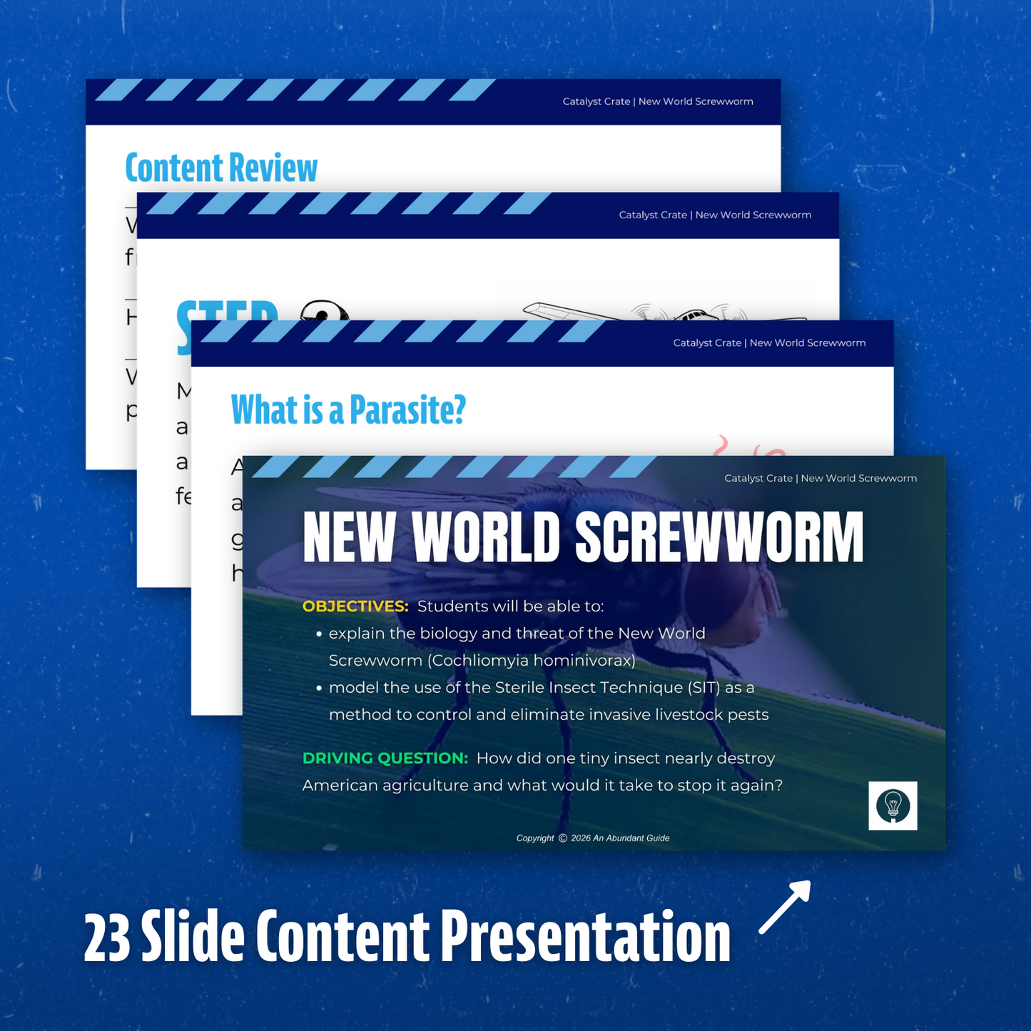 New World Screwworm